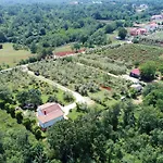 Sergo Porec