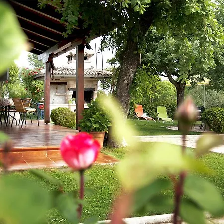 Sergo Porec