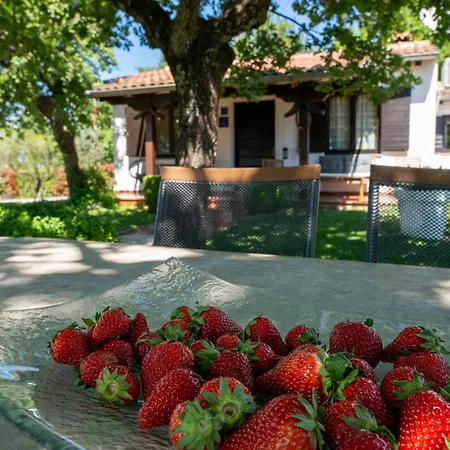 Hébergement de vacances Sergo Poreč